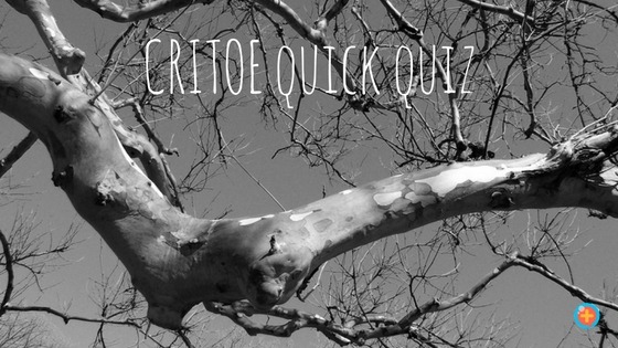 CRITOE Quick Quiz
