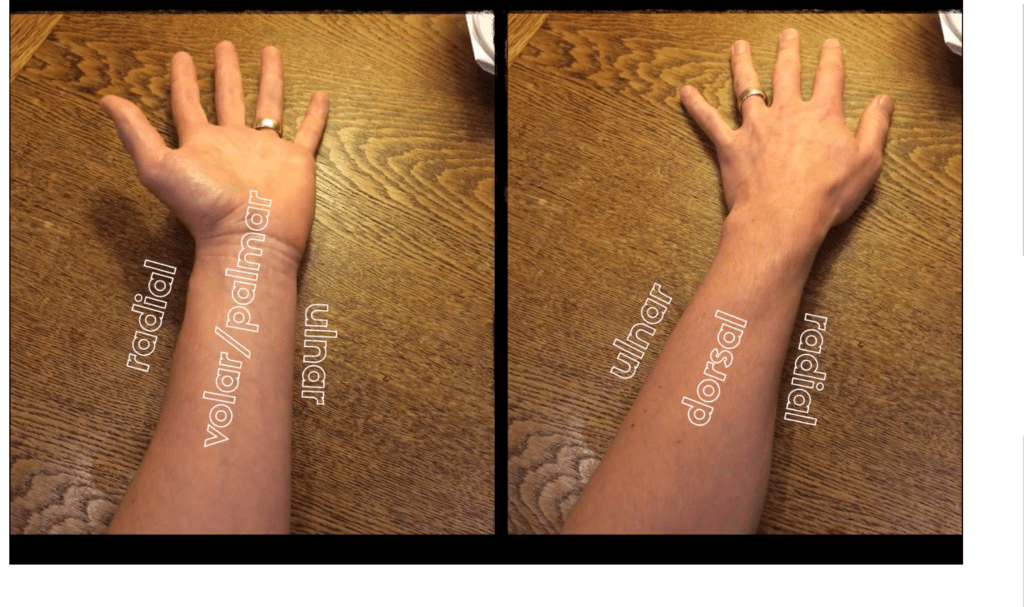 Wrist Examination & Pathology Module