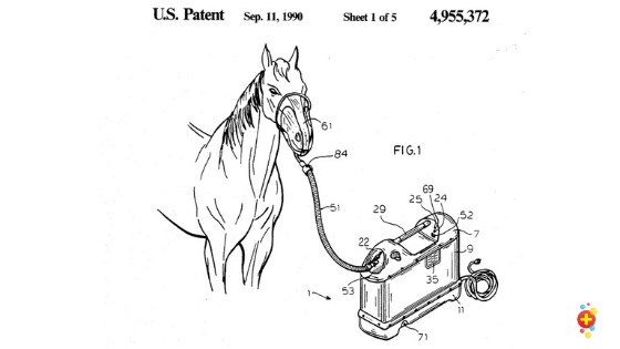 Horse on hgih flow