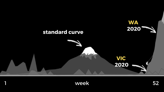 RSV incidence in Victoria