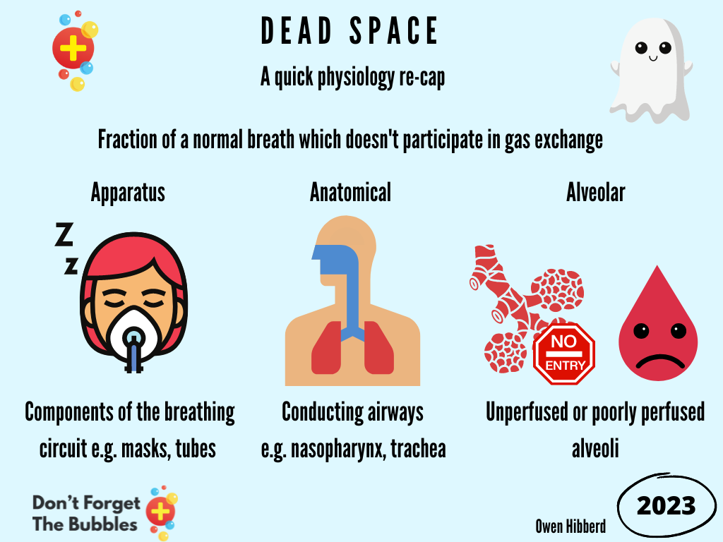 The apparatus, anatomical and alveolar dead space